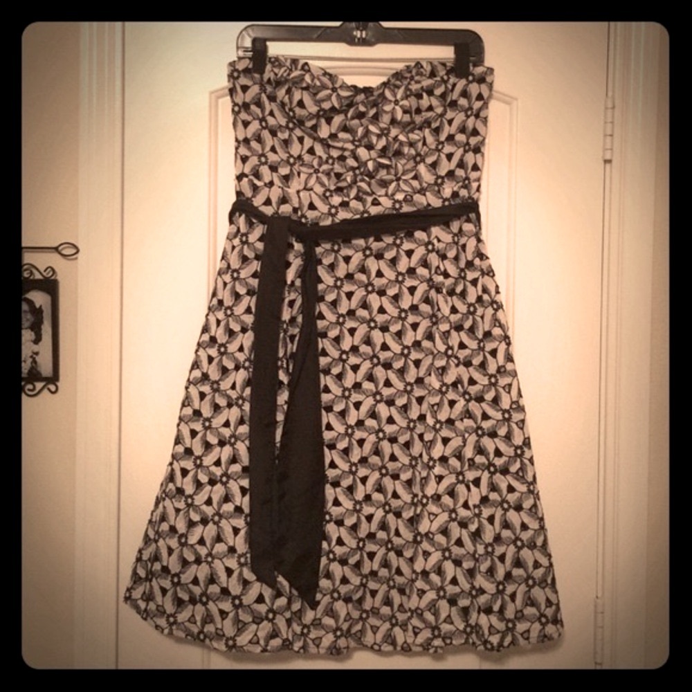 Anthropologie gorgeous dress! NWT